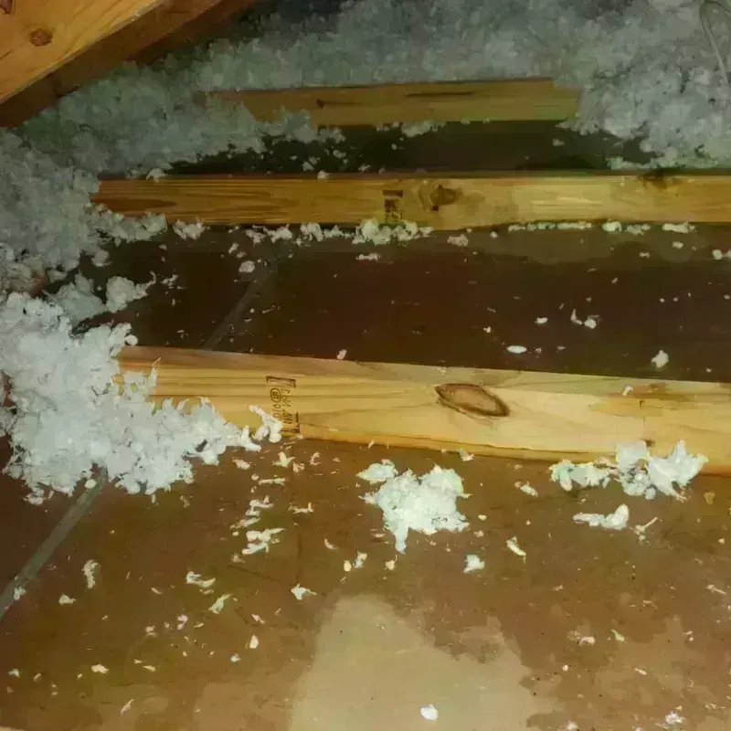 Attic Water Damage in Palestine, TX