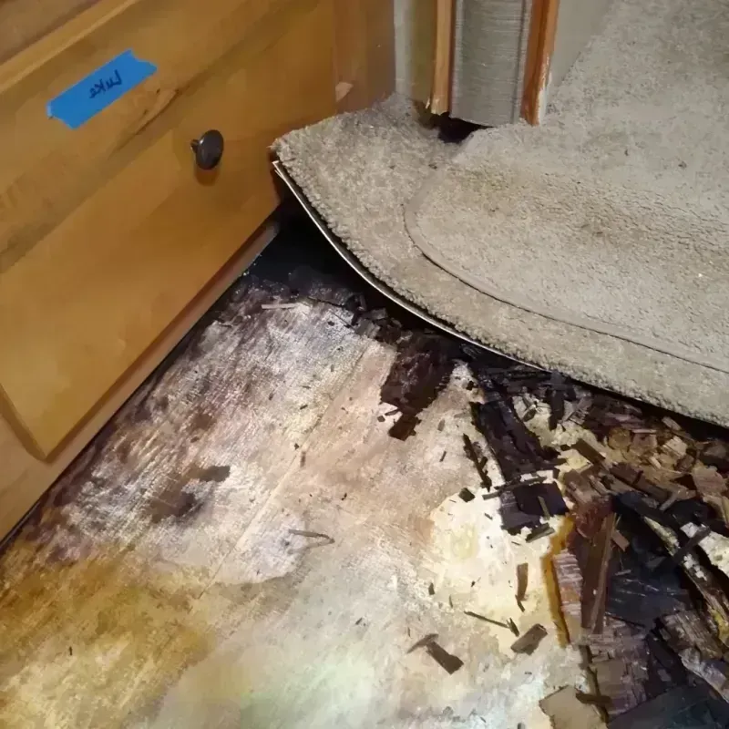 Best Wood Floor Water Damage Service in Palestine, TX